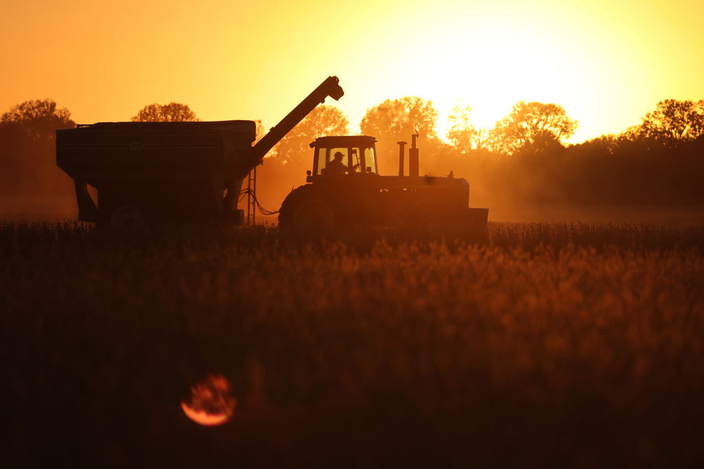 Một nông dân thu hoạch đậu tương trên cánh đồng dọc sông Mississippi gần Wyatt, Missouri, hôm 17/10/2022. (Ảnh: Scott Olson/Getty Images)
