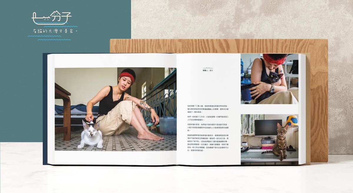 Tai O Stray Cat Home, một tổ chức bất vụ lợi, đã tạo ra một cuốn sách ảnh “Part of Us” để ghi lại tình yêu và hành trình của những tình nguyện viên nuôi mèo và những người nhận nuôi động vật. (Ảnh: Tổng hợp nhiều bức ảnh)
