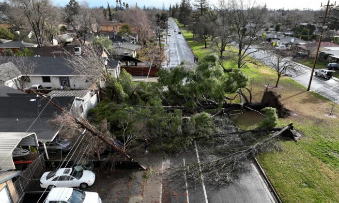 Thiết bị bay không người lái quay cảnh một cái cây bị đổ trong cơn bão mùa đông với gió lớn ở Sacramento, California hôm 08/01/2023. (Ảnh: Fred Greaves/Reuters)