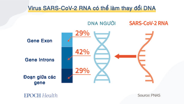 Trung Cộng đã khiến virus phát triển lan tràn như thế nào?