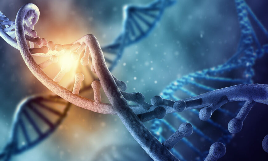 Các retrovirus nội sinh chiếm tới 8% DNA của con người. (Ảnh: ESB Professional/Shutterstock)