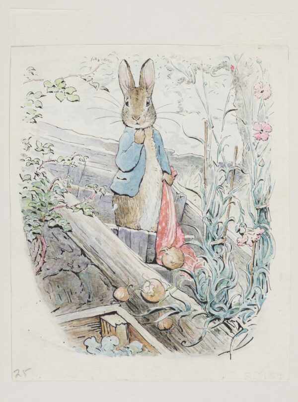 Bức tranh “Chú Thỏ Peter Và Chiếc Khăn Tay” của tác giả Beatrix Potter, năm 1904. Đây là một tranh minh họa cho cuốn sách màu nước và bút chì của quyển “Chuyện Về Chú Thỏ Benjamin.” National Trust. (Ảnh: National Trust images)