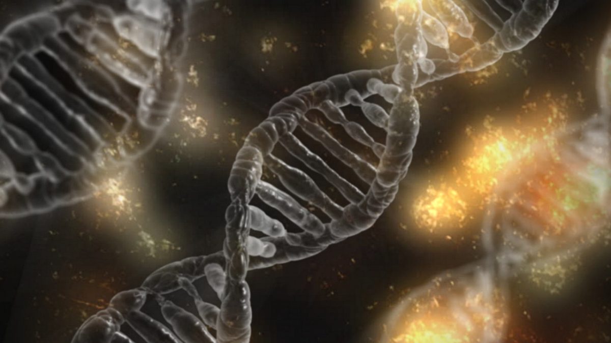 Chuỗi xoắn kép DNA. (Ảnh: typographyimages/Pixabay)