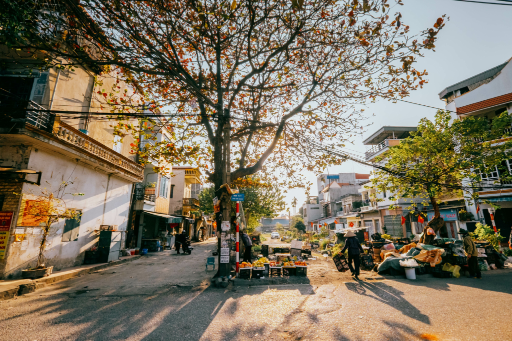 Hà Nội mùa cây bàng lá đỏ