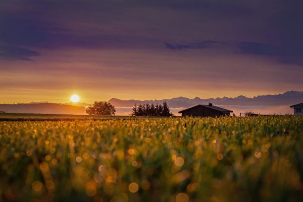 Câu chuyện luân hồi: ‘Quái thai’ kể lại nhân duyên chuyển sinh, khuyên nhủ thế nhân