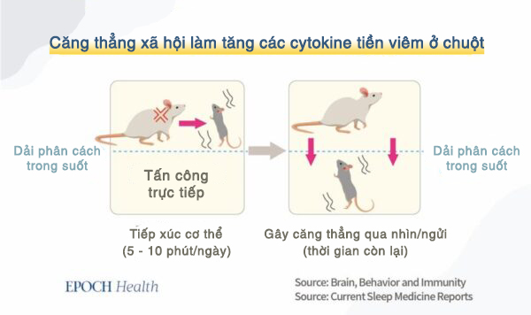 Trung Cộng đã khiến virus phát triển lan tràn như thế nào?