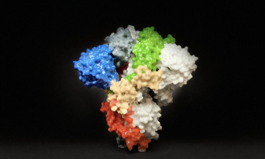 Bản in 3D protein gai trên bề mặt của SARS-CoV-2. Protein gai bao phủ bề mặt của SARS-CoV-2, giúp virus xâm nhập và lây nhiễm vào tế bào người. (Ảnh: NIH)