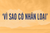 vi-sao-co-nhan-loai