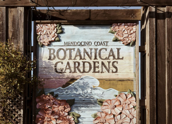 Vẻ đẹp truyền cảm hứng: Vườn bách thảo California này dành tặng tới 7,000 pound sản vật tươi cho ngân hàng thực phẩm địa phương mỗi năm