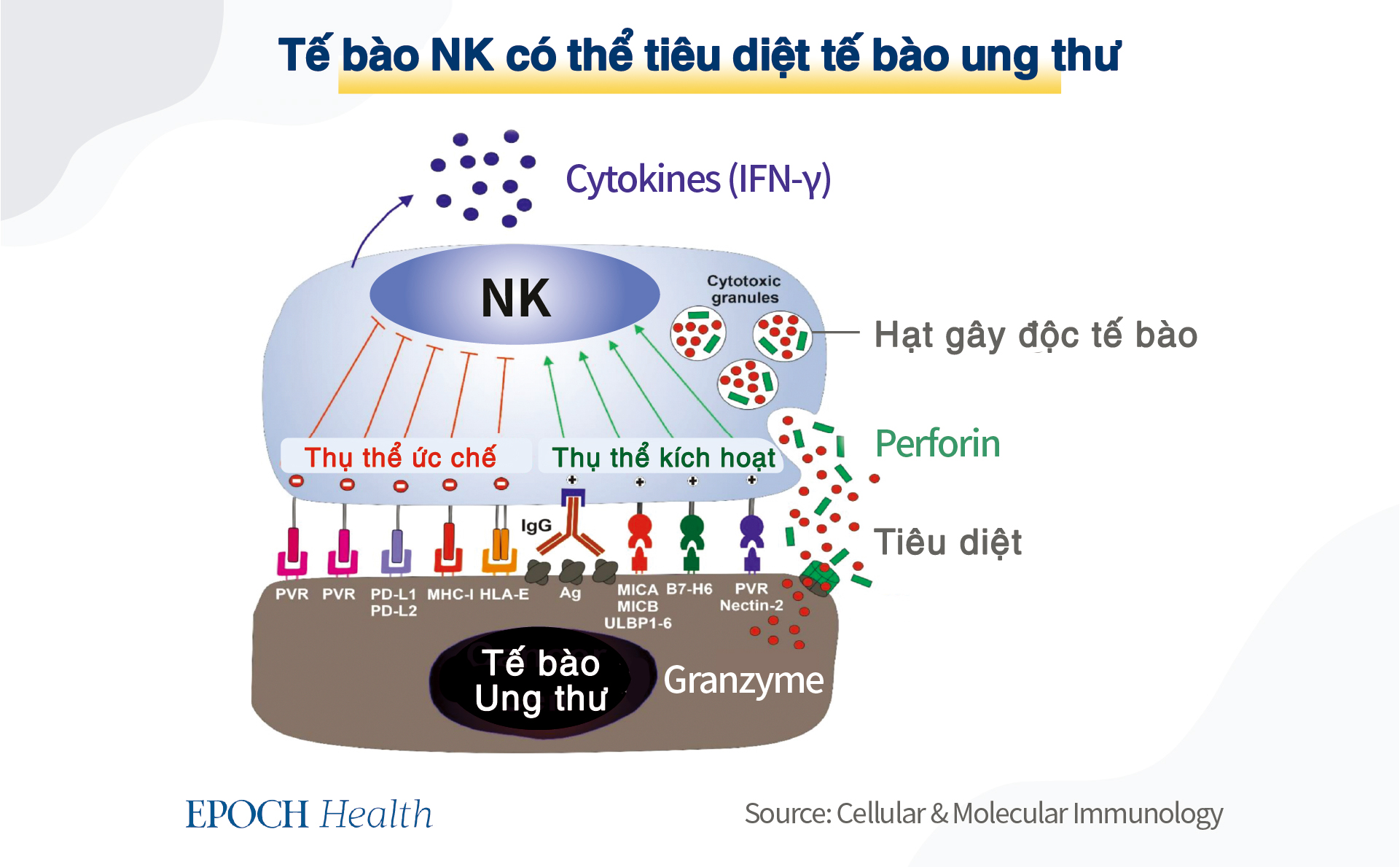 Người sống có mục đích sẽ có cuộc đời vui vẻ hơn và tuổi thọ cao hơn