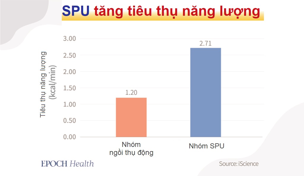 Bài tập ngồi đơn giản giúp giảm lượng đường và lipid máu