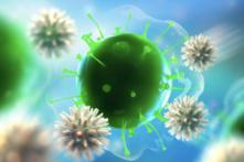 Các nhà nghiên cứu British Columbia đang tiến hành thử nghiệm một số hợp chất tự nhiên để điều trị COVID-19 và các loại virus khác. (Ảnh: Shutterstock)