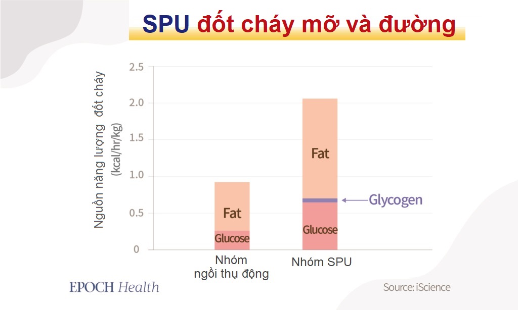 Bài tập ngồi đơn giản giúp giảm lượng đường và lipid máu