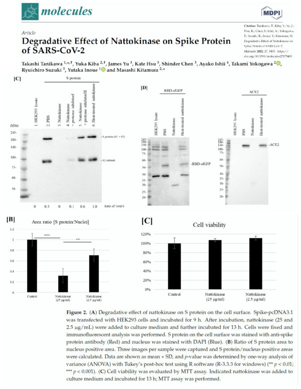 Tanikawa T, Kiba Y, Yu J, Hsu K, Chen S, Ishii A, Yokogawa T, Suzuki R, Inoue Y, Kitamura M. Tác dụng thoái hóa Protein gai SARS-CoV-2 của Nattokinase. Molecules. 2022 Aug 24;27(17):5405. doi: 10.3390/molecules27175405. PMID: 36080170; PMCID: PMC9458005