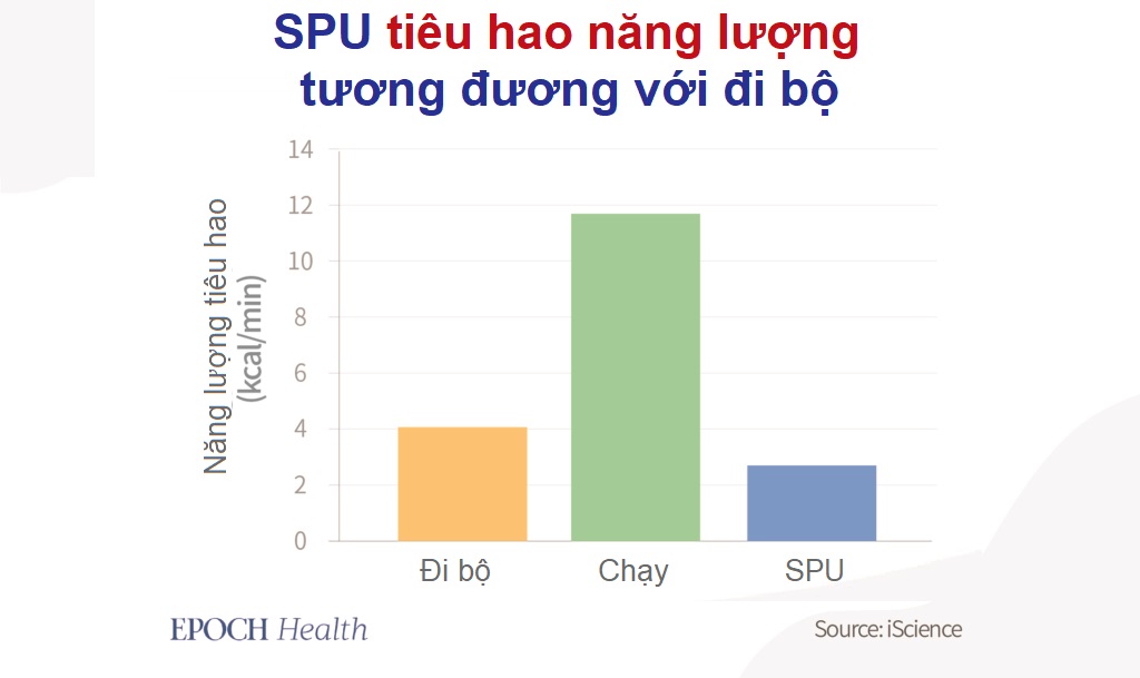 Bài tập ngồi đơn giản giúp giảm lượng đường và lipid máu