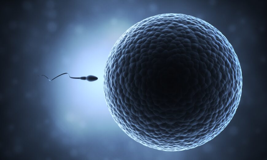 Thuốc tránh thai thử nghiệm ‘theo nhu cầu’ cho nam giới làm bất động tinh trùng tạm thời