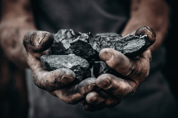 Người thợ mỏ đang nắm những mẫu than đá trong tay. (Ảnh: Parilov/Adobe Stock)