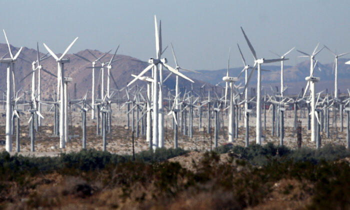 Một trang trại gió gần Palm Springs, California, vào ngày 30/12/2006. (Ảnh: Gabriel Bouys/AFP qua Getty Images)