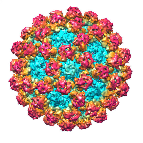 Các ca nhiễm Norovirus đang gia tăng trên khắp Hoa Kỳ: Những điều bạn cần biết