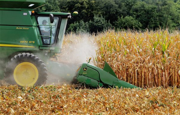 Máy gặt đập liên hợp thu hoạch bắp vào ngày 30/08/2011. (Ảnh: Seth Perlman/AP Photo)