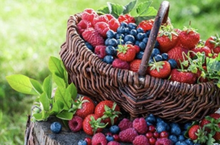 Quả việt quất làm sạch mạch máu và ngăn ngừa bệnh tim