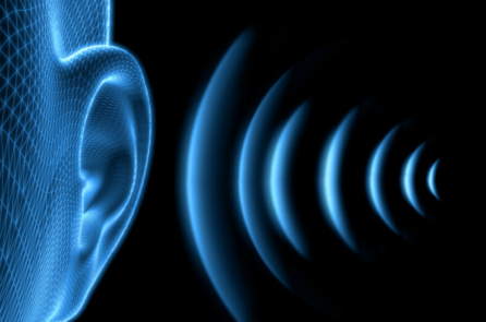 Những thực phẩm ngăn ngừa mất thính giác