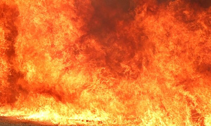 Florida: Đám cháy lớn rộng vài mẫu Anh bùng phát gần một kho ươm tạo