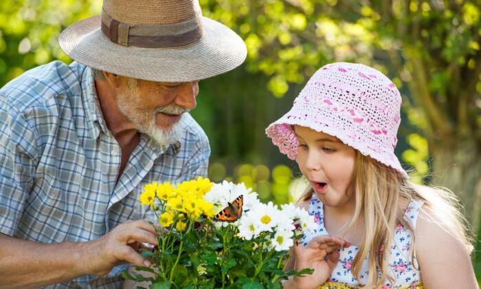 Nghiên cứu: Những người làm vườn có nguy cơ bị bệnh tâm thần và bệnh kinh niên thấp hơn