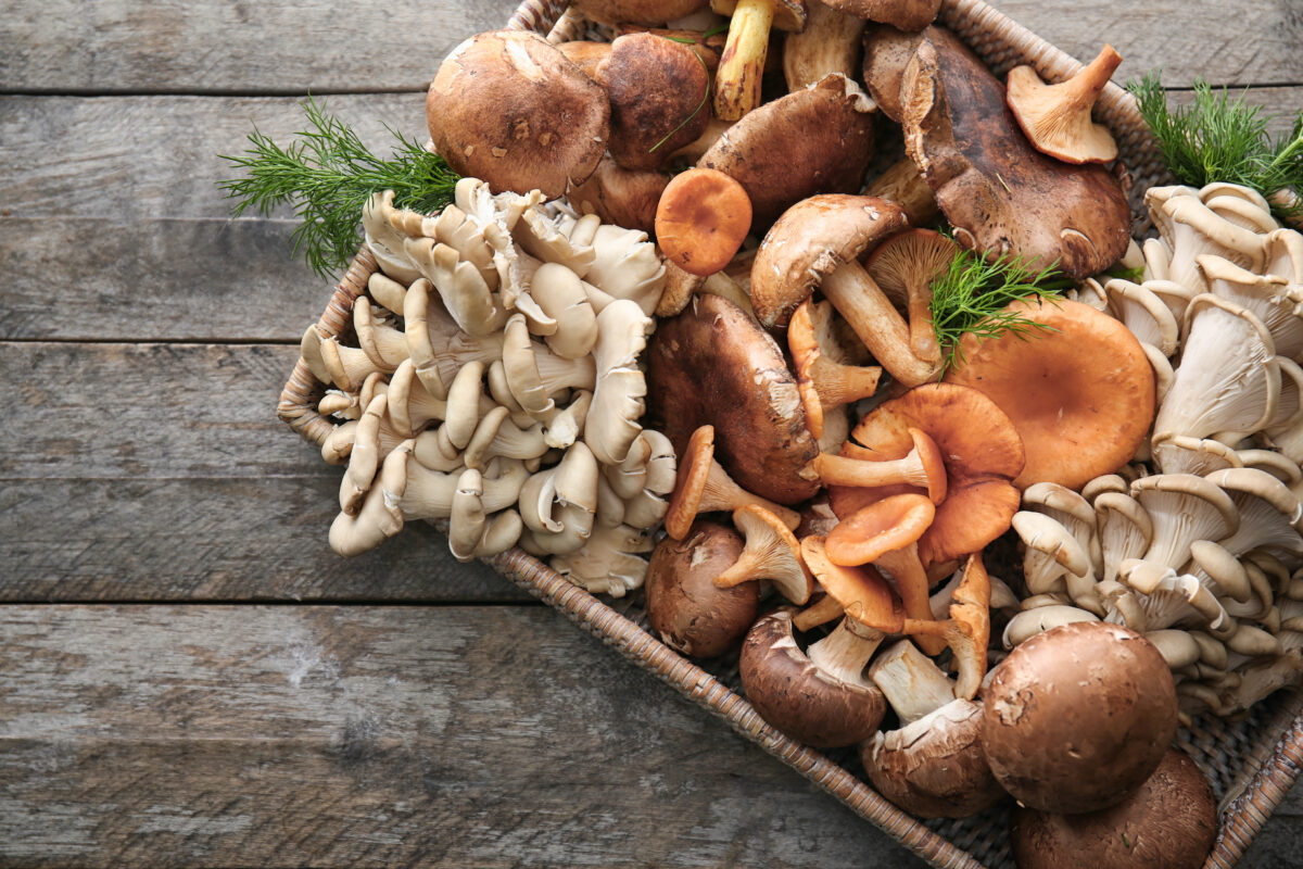 Các loại nấm mà chúng ta thường ăn có đặc tính tăng cường hệ thống miễn dịch. (Ảnh: Shutterstock)