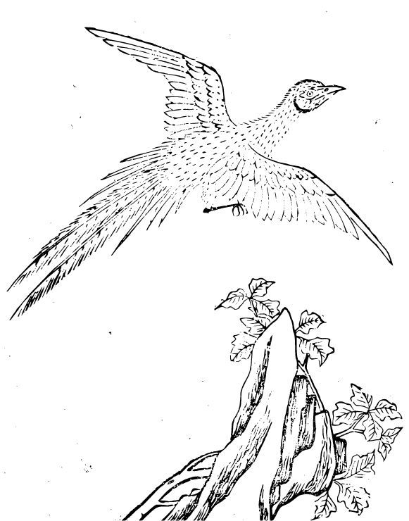 Tinh vệ - chim thú 13 trong “Tam tài đồ hội” thời Minh. (Ảnh: Tài sản công)