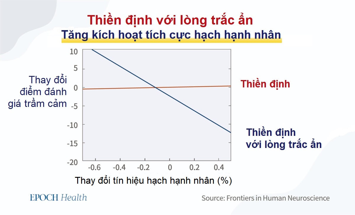 Bạn cảm thấy dễ kích thích? Hãy thử những cách này để có được sự bình thản