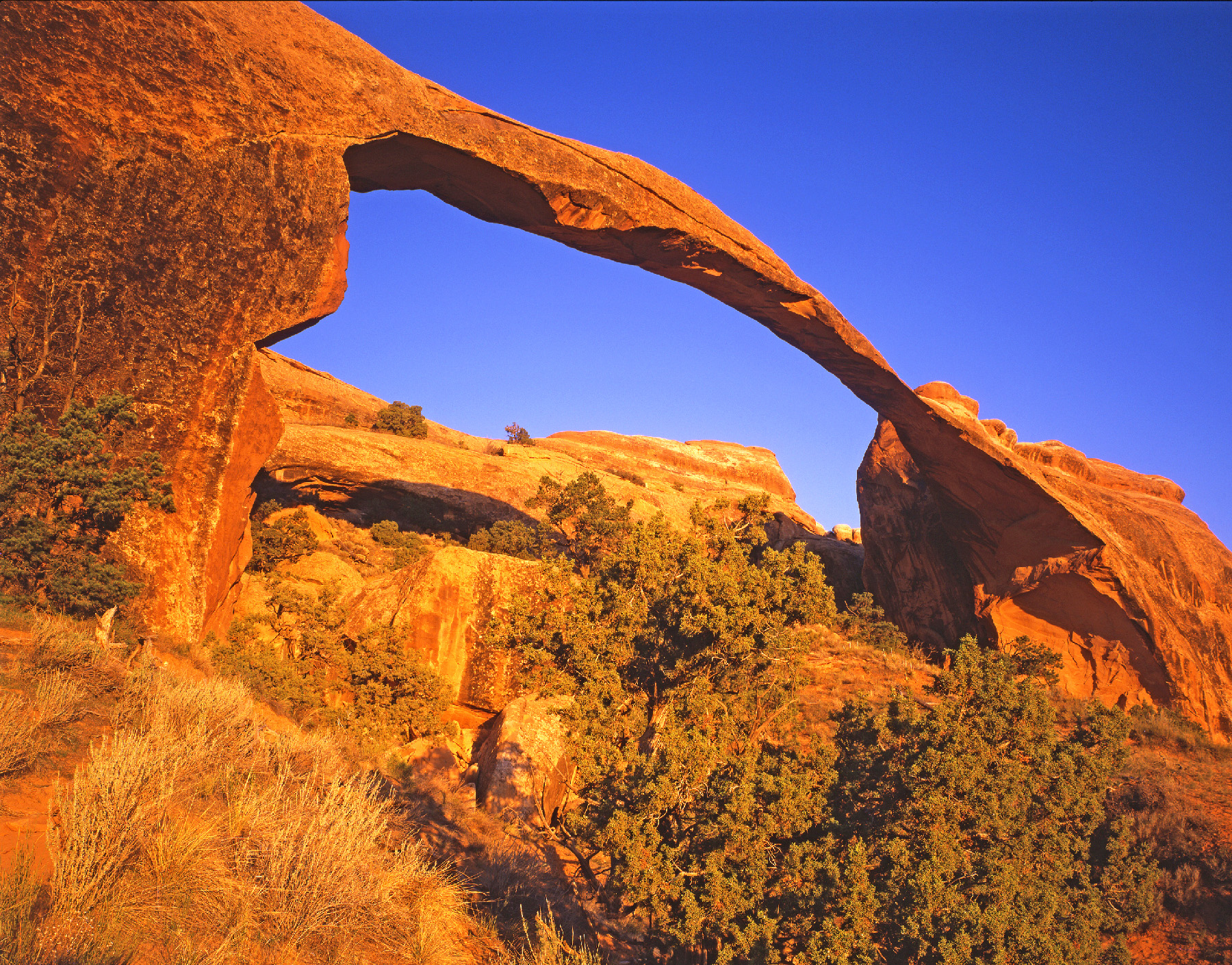 Vòm cảnh quan (Arch) tại Công viên quốc gia Arches chỉ là một trong số những kỳ quan thiên nhiên trong năm công viên quốc gia của tiểu bang Utah. (Ảnh: Đăng dưới sự cho phép của anh Tom Till.)