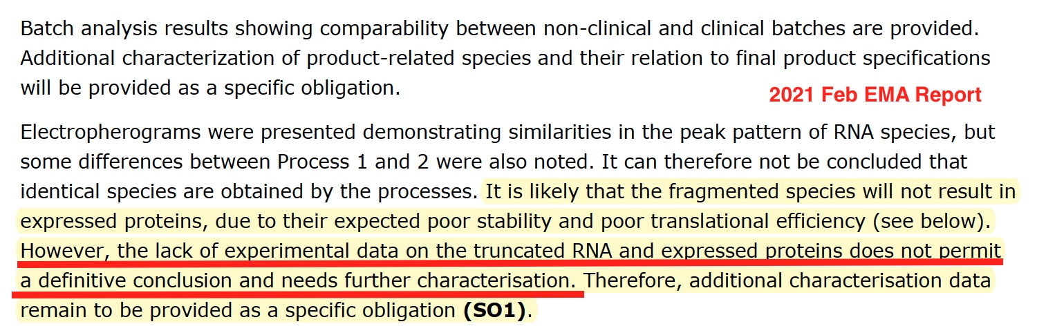 Biểu đồ điện di đã chứng minh các đỉnh (peak) của một số loại RNA giống nhau như thế nào, nhưng cũng có một số khác biệt giữa Quy trình 1 và 2. Do đó, không thể nói rằng các quy trình này tạo ra các loại [mRNA] tương tự nhau. Do tính ổn định kém được dự đoán trước của các loại [mRNA] bị phân mảnh và hiệu quả dịch mã kém, có khả năng chúng sẽ không tạo ra các protein biểu hiện (xem bên dưới). Tuy nhiên, dữ liệu thực nghiệm ít ỏi về các protein được biểu hiện và RNA bị cắt ngắn đã ngăn cản việc đưa ra kết luận chắc chắn và cần mô tả thêm. Do đó, cần cung cấp thêm thông tin đặc tính như một nghĩa vụ cụ thể.