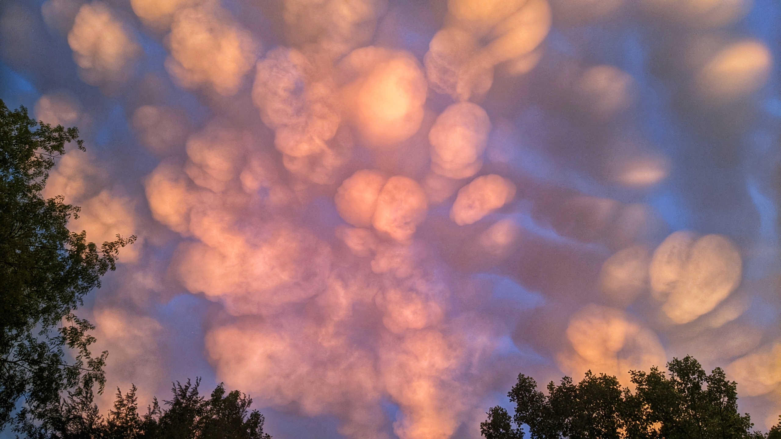 Bức ảnh “Mammatus Sunset” (Hoàng hôn vảy rồng) của nhiếp ảnh gia Eris Pil. (Ảnh: Đăng dưới sự cho phép của cô Eris Pil/Hiệp hội Khí tượng Hoàng gia)