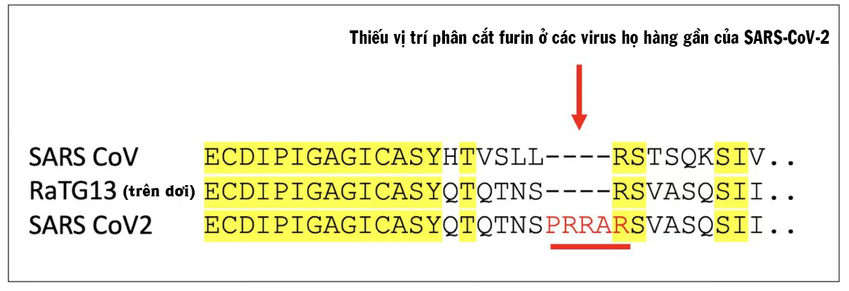 Mọi thứ quý vị cần biết về vụ rò rỉ phòng thí nghiệm