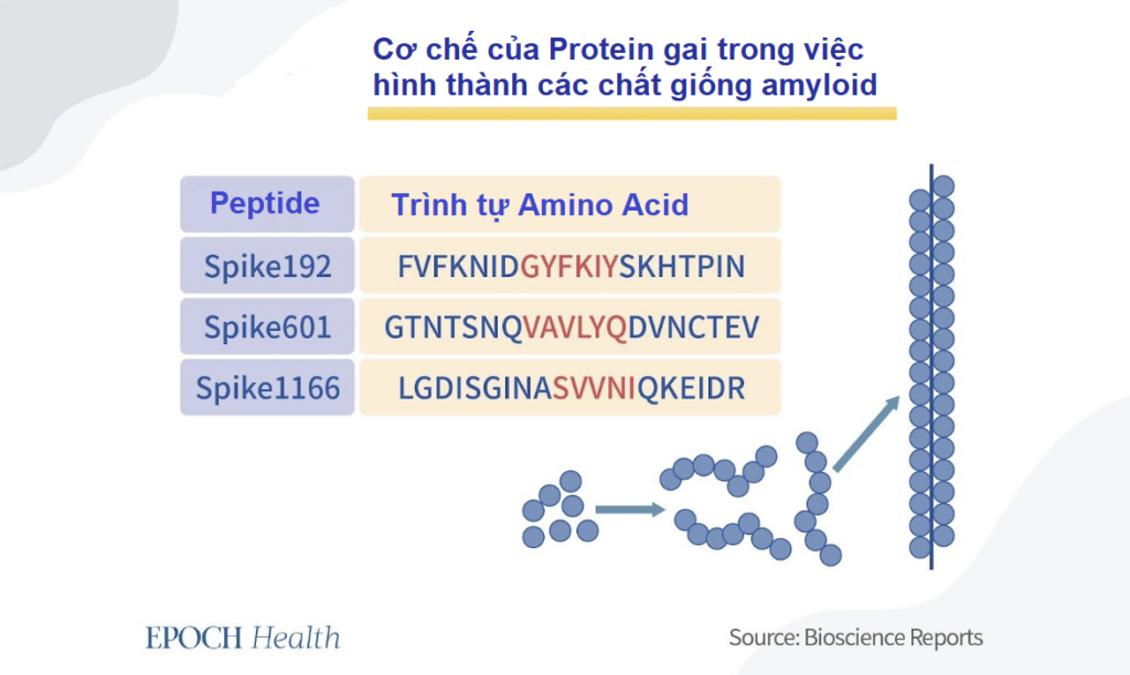 Tình trạng tổn thương do vaccine có thể liên quan đến mRNA bị cắt ngắn (Phần 2)