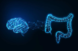 Mối liên kết giữa ruột-não. (Ảnh: Inkoly/Shutterstock)