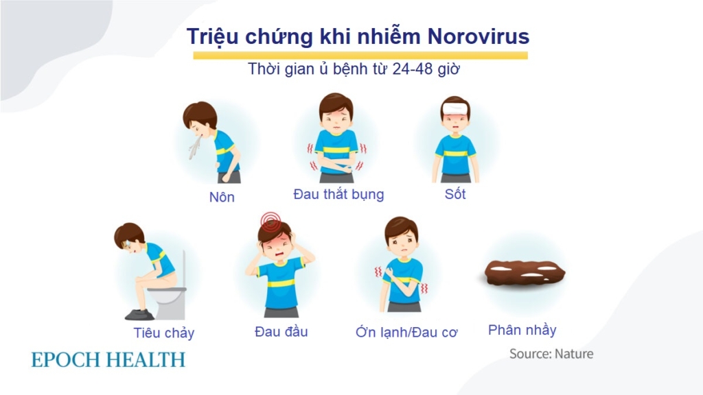 Norovirus: Thủ phạm đằng sau sự bùng phát dịch trên tàu du lịch