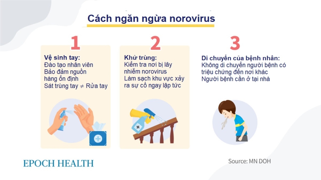 Norovirus: Thủ phạm đằng sau sự bùng phát dịch trên tàu du lịch