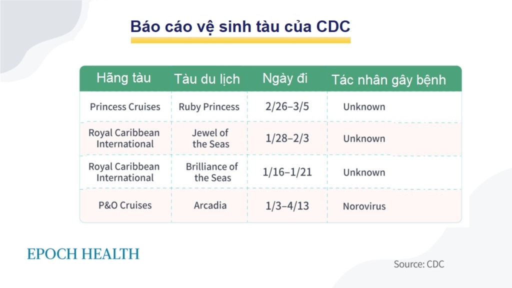 Norovirus: Thủ phạm đằng sau sự bùng phát dịch trên tàu du lịch