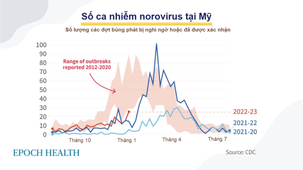 Norovirus: Thủ phạm đằng sau sự bùng phát dịch trên tàu du lịch