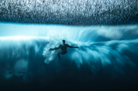 Những bức ảnh đạt giải từ ‘Giải thưởng Nhiếp ảnh gia đại dương của Năm 2022’: Kinh ngạc trước vẻ đẹp của thiên nhiên
