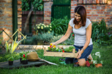 Hãy khởi đầu bằng những bước nhỏ — nhưng hãy thực hiện ngay bây giờ — để tạo ra khu vườn ở sân sau nhà trong mơ của bạn. (Ảnh: Dejan Dundjerski/Shutterstock)