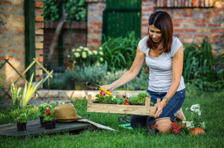 Vài gợi ý khởi đầu một khu vườn ở sân sau nhà