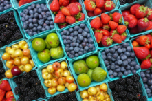 Một hỗn hợp các loại trái cây mùa hè ở Oregon. (Ảnh: Leslie Brienza/Shutterstock)