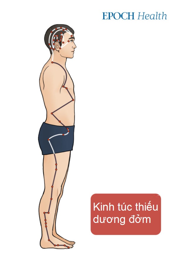 Liệu pháp cổ xưa giúp tự chữa bướu cổ không cần phẫu thuật