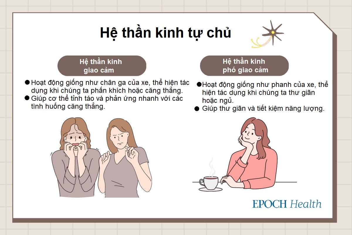 Đau khổ vì rối loạn thần kinh thực vật? 13 triệu chứng giúp bạn tự đánh giá