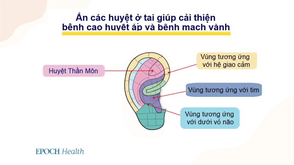 COVID-19 làm tăng nguy cơ bị bệnh tim – Các dấu hiệu nguy cấp và mẹo để phòng ngừa