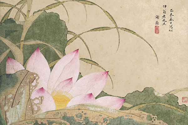 Hoa sen nhập thế nhưng siêu phàm, gắn liền với Tiên cảnh và Phật quốc