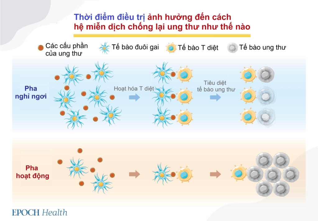 Thời điểm điều trị ung thư tốt nhất trong ngày